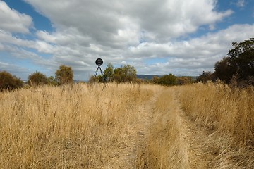 Image showing Dry autumn meadow