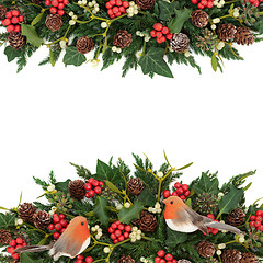 Image showing Winter Background Border with Robins