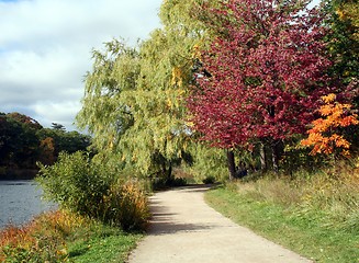 Image showing Autumn Pathway