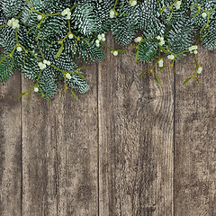 Image showing Spruce Fir and Mistletoe Background  
