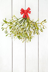 Image showing Under the Mistletoe 