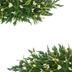 Image showing Mistletoe and Juniper Border