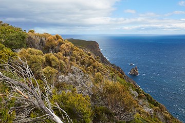 Image showing Landscape in Tasmania