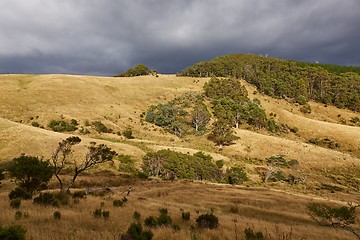 Image showing Valley in Tasmania