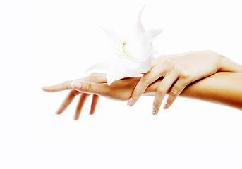 Image showing beauty delicate hands with manicure holding flower lily close up