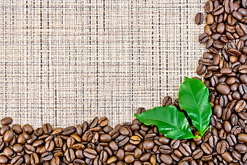 Image showing Coffee black grains on brown woven fabric