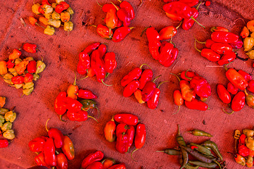 Image showing Red paprika being sold at local food market.