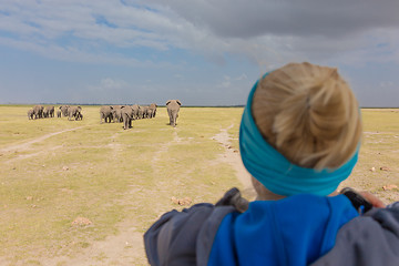 Image showing Woman watching herd of elephants on african wildlife safari. Amboseli, Kenya.