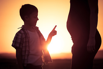 Image showing Mother and son walking on the field at the sunset time.