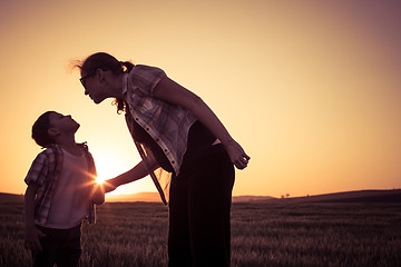 Image showing Mother and son walking on the field at the sunset time.