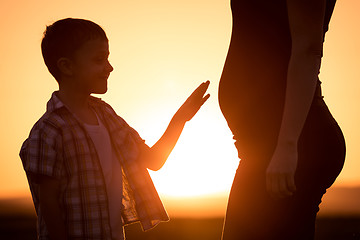 Image showing Mother and son walking on the field at the sunset time.