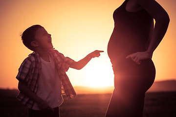 Image showing Mother and son walking on the field at the sunset time.