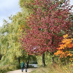 Image showing Walking