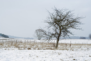 Image showing winter landscape
