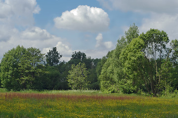 Image showing cloudy landscape