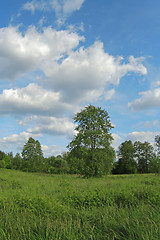 Image showing landscape