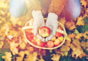 Image showing woman with basket of apples at autumn garden