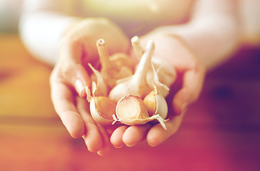 Image showing woman hands holding garlic