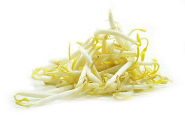 Image showing Pile of bean sprouts