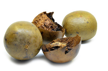 Image showing Lo Han Guo, Monk or Buddha fruit