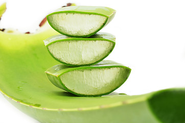 Image showing Aloe vera fresh leaf isolated