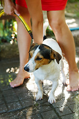 Image showing Woman bathing dog outside