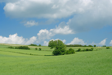 Image showing green fields