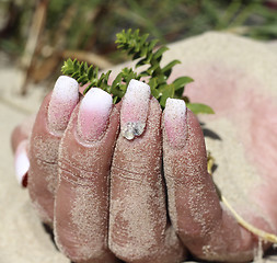 Image showing Hand in the sand