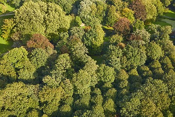 Image showing Park from above