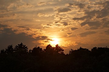 Image showing Sunset over trees