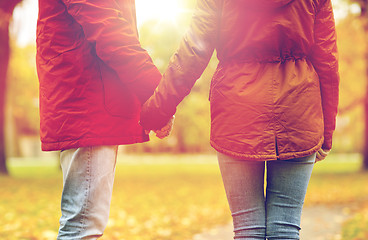 Image showing close up of couple holding hands in autumn park