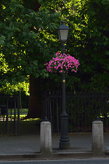 Image showing Old street lamp