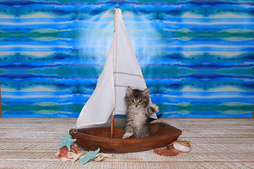 Image showing Maincoon Kitten With Big Eyes in Sailboat