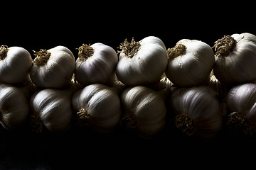 Image showing Bunch of garlic