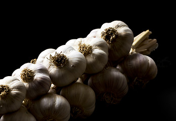 Image showing Bunch of garlic