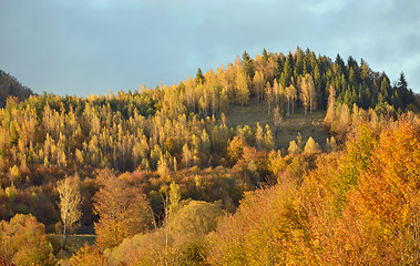 Image showing Colorful autumn landscape