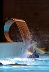 Image showing Woman Relaxation in pool 