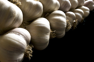 Image showing Bunch of garlic