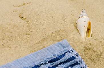 Image showing towel and shell