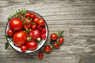 Image showing Tomato