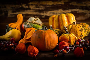 Image showing Assorted pumpkins for Thanksgiving and Halloween