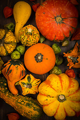 Image showing Assorted pumpkins for Thanksgiving and Halloween