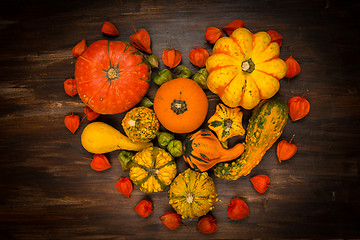 Image showing Assorted pumpkins for Thanksgiving and Halloween