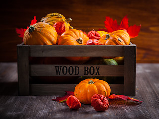 Image showing Pumpkin still life for Thanksgiving 