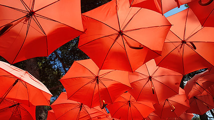 Image showing Red Parasol Sunshade