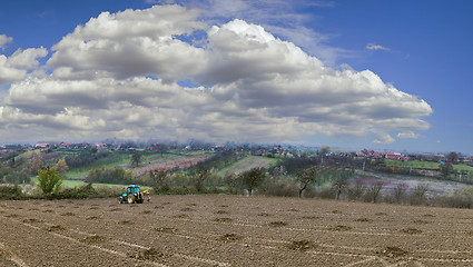 Image showing Orchard Planting Holes