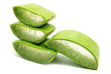 Image showing Aloe vera fresh leaf isolated