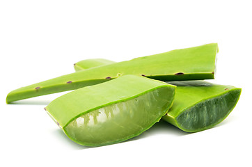 Image showing Aloe vera fresh leaf isolated