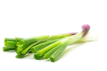 Image showing Fresh spring onions