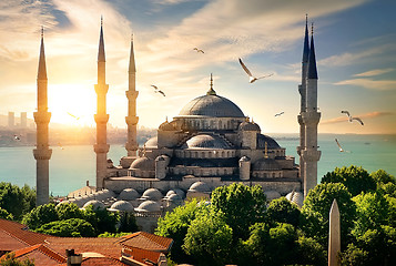 Image showing Seagulls over Blue Mosque